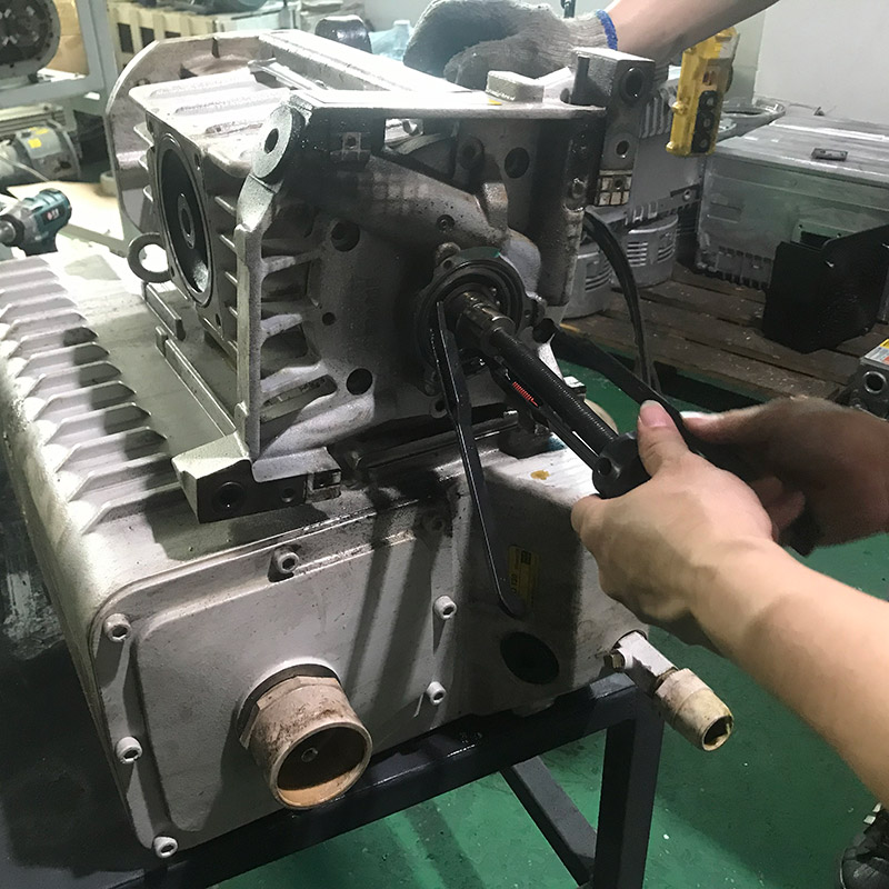 SV300B莱宝单级泵维修